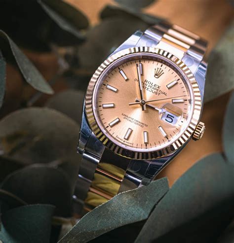 rolex oyster perpetual price chart